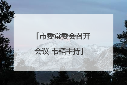 市委常委会召开会议 韦韬主持