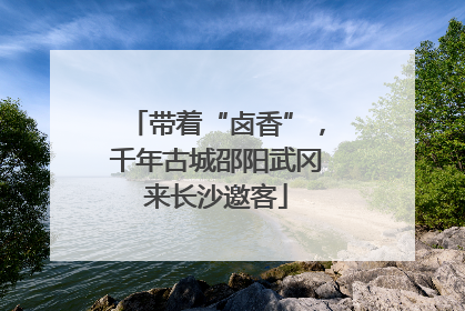 带着“卤香”，千年古城邵阳武冈来长沙邀客
