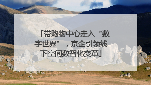 带购物中心走入“数字世界”，京企引领线下空间数智化变革