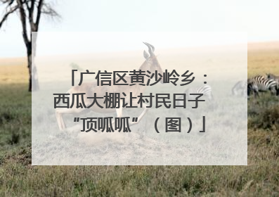 广信区黄沙岭乡：西瓜大棚让村民日子“顶呱呱”（图）