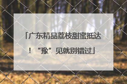 广东精品荔枝甜蜜抵达！“豫”见就别错过