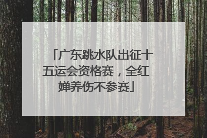 广东跳水队出征十五运会资格赛，全红婵养伤不参赛