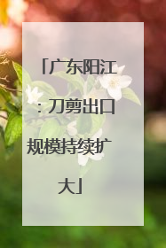 广东阳江：刀剪出口规模持续扩大