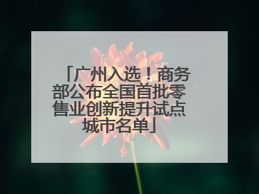 广州入选！商务部公布全国首批零售业创新提升试点城市名单