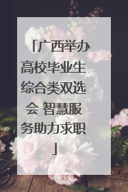 广西举办高校毕业生综合类双选会 智慧服务助力求职