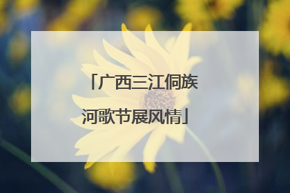 广西三江侗族河歌节展风情