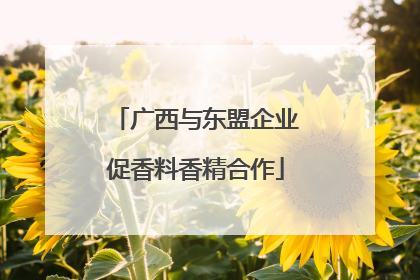 广西与东盟企业促香料香精合作