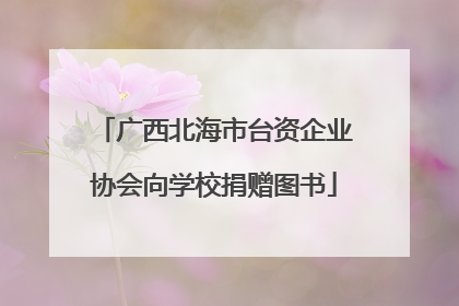 广西北海市台资企业协会向学校捐赠图书