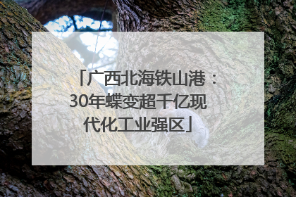 广西北海铁山港：30年蝶变超千亿现代化工业强区