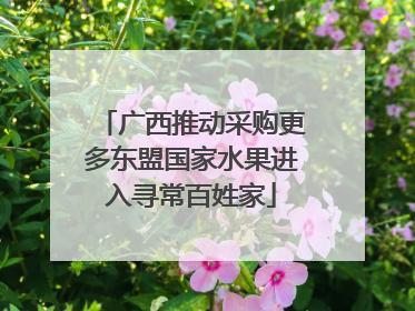广西推动采购更多东盟国家水果进入寻常百姓家
