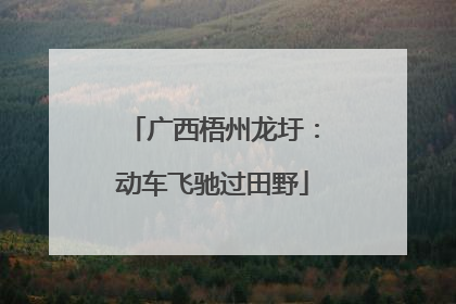 广西梧州龙圩：动车飞驰过田野