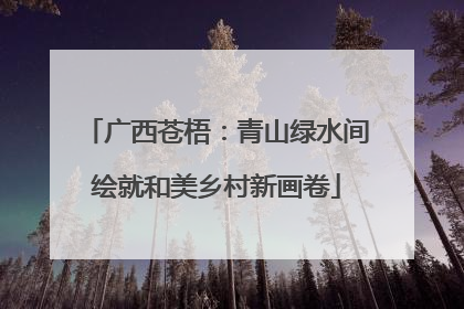 广西苍梧:青山绿水间绘就和美乡村新画卷
