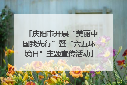庆阳市开展“美丽中国我先行”暨“六五环境日”主题宣传活动