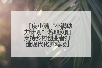 度小满“小满助力计划”落地汝阳支持乡村创业者打造现代化养鸡场