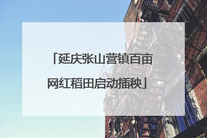 延庆张山营镇百亩网红稻田启动插秧