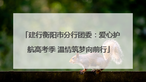 建行衡阳市分行团委：爱心护航高考季 温情筑梦向前行