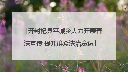 开封杞县平城乡大力开展普法宣传 提升群众法治意识
