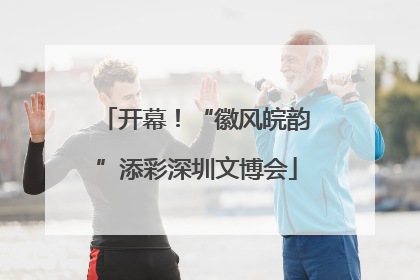 开幕！“徽风皖韵”添彩深圳文博会