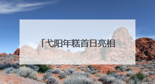 弋阳年糕首日亮相米粉产业交易会：非遗魅力引爆市场 销售数据亮眼