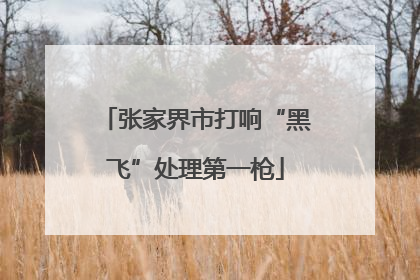 张家界市打响“黑飞”处理第一枪