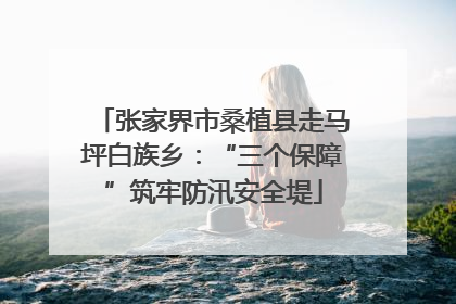 张家界市桑植县走马坪白族乡：“三个保障”筑牢防汛安全堤