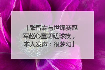 张智霖与世锦赛冠军赵心童切磋球技，本人发声：很梦幻