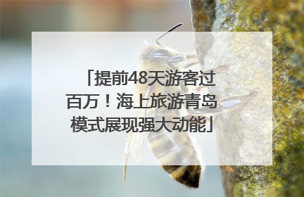 提前48天游客过百万！海上旅游青岛模式展现强大动能
