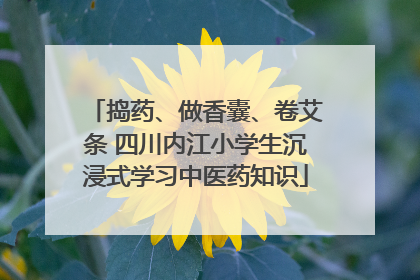 捣药、做香囊、卷艾条 四川内江小学生沉浸式学习中医药知识