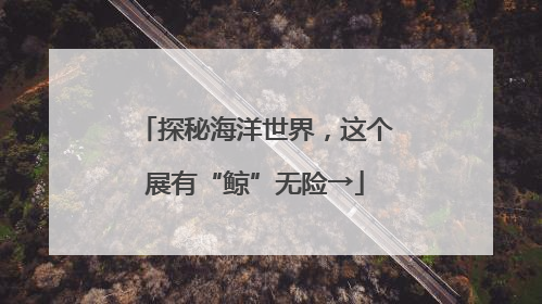 探秘海洋世界，这个展有“鲸”无险→