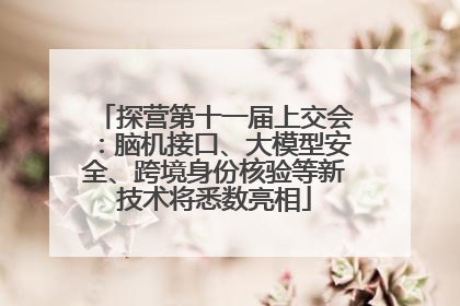 探营第十一届上交会：脑机接口、大模型安全、跨境身份核验等新技术将悉数亮相