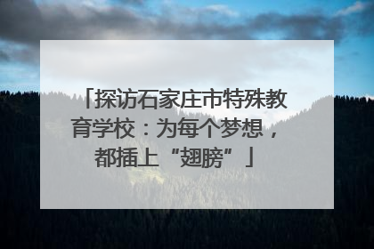 探访石家庄市特殊教育学校：为每个梦想，都插上“翅膀”