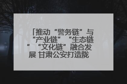推动“警务链”与“产业链”“生态链”“文化链”融合发展 甘肃公安打造陇原旅游警务品牌