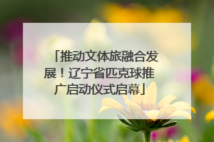 推动文体旅融合发展！辽宁省匹克球推广启动仪式启幕