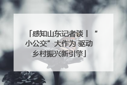 感知山东记者谈丨“小公交”大作为 驱动乡村振兴新引擎