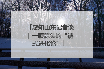 感知山东记者谈｜一颗蒜头的“链式进化论”