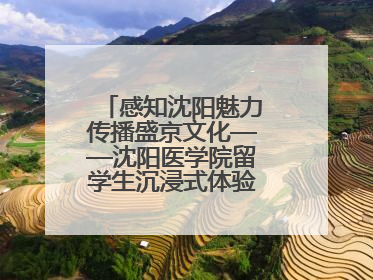 感知沈阳魅力传播盛京文化——沈阳医学院留学生沉浸式体验沈阳文旅特色