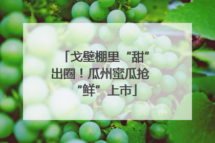戈壁棚里“甜”出圈！瓜州蜜瓜抢“鲜”上市