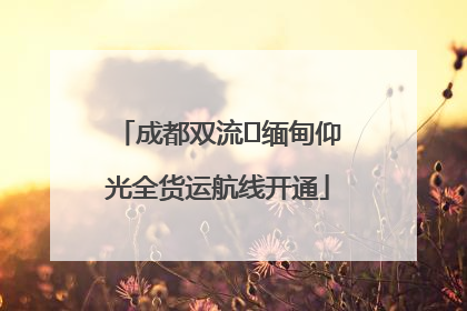 成都双流⇌缅甸仰光全货运航线开通