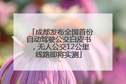 成都发布全国首份自动驾驶公交白皮书，无人公交12公里线路即将实测