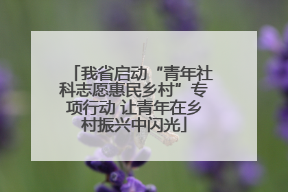 我省启动“青年社科志愿惠民乡村”专项行动 让青年在乡村振兴中闪光