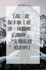 战三夏 保丰收丨延津：前脚收 后脚种，“无缝衔接”抢农时