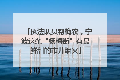 执法队员帮梅农，宁波这条“杨梅街”有最鲜甜的市井烟火