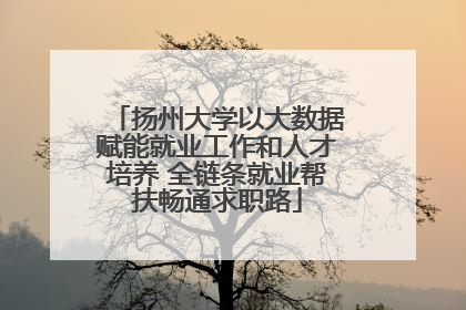 扬州大学以大数据赋能就业工作和人才培养 全链条就业帮扶畅通求职路