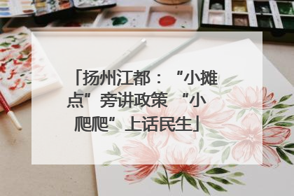 扬州江都：“小摊点”旁讲政策 “小爬爬”上话民生