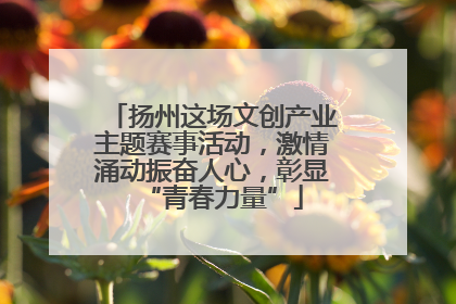 扬州这场文创产业主题赛事活动，激情涌动振奋人心，彰显“青春力量”