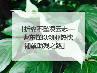 折翼不坠凌云志——曹东锋以创业热忱铺就助残之路