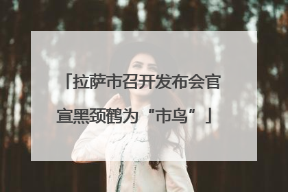 拉萨市召开发布会官宣黑颈鹤为“市鸟”
