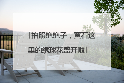拍照绝绝子，黄石这里的绣球花盛开啦
