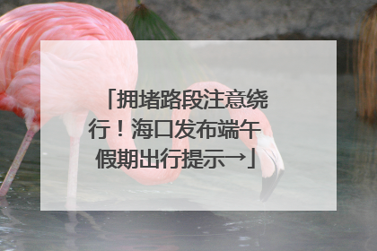 拥堵路段注意绕行！海口发布端午假期出行提示→