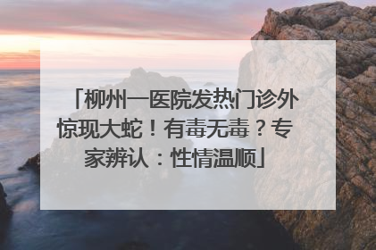 柳州一医院发热门诊外惊现大蛇！有毒无毒？专家辨认：性情温顺